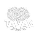 TAVAR